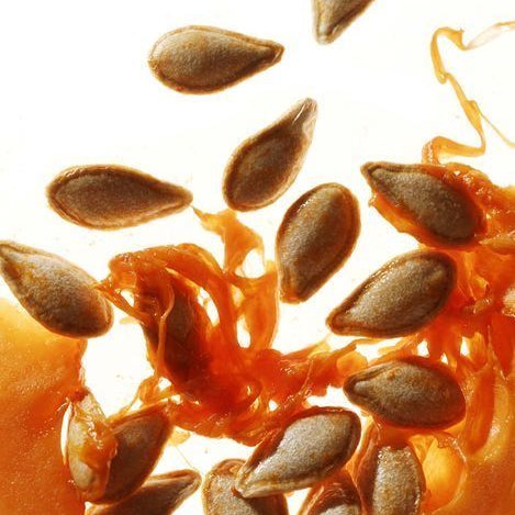Pumpkin Seed Oil for Hair Loss: The Natural DHT Blocker That Actually Works